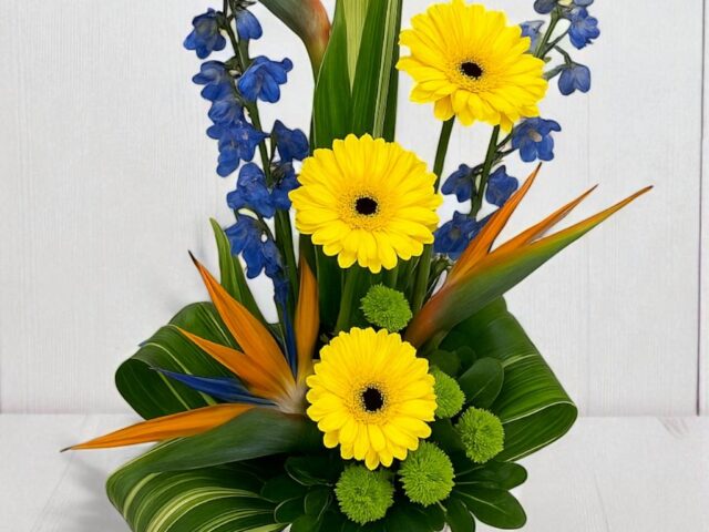 Fall Flower Planting Tips for Calgary Gardeners