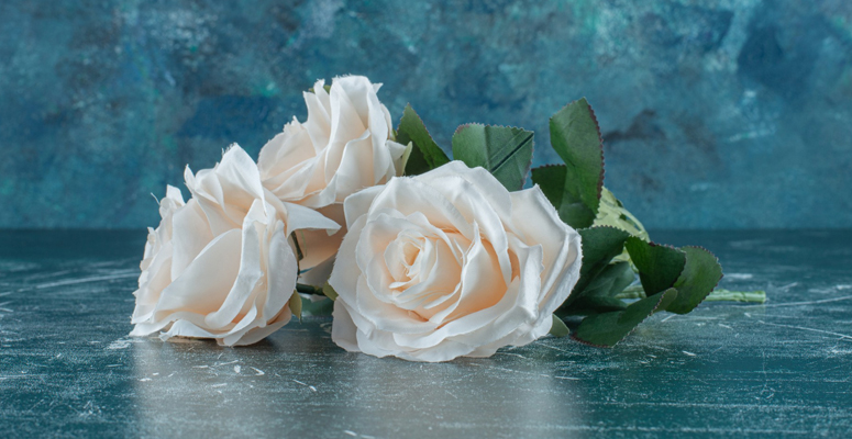 Sympathy Flowers vs. Funeral Flowers: Understanding the Difference