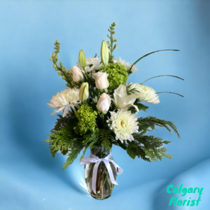 calgary florist white rose