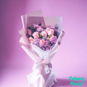 calgary-pink-roses