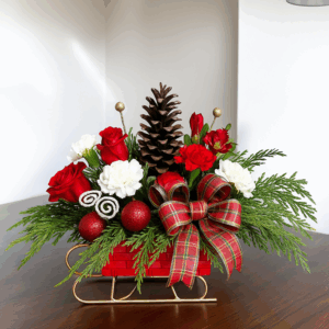 December Dream Sleigh