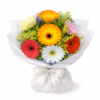 mix gerbera