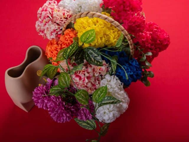 What Do Different Flowers Say? A Simple Guide to Floral Messages